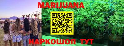 ГАЛЛЮЦИНОГЕННЫЕ ГРИБЫ Краснознаменск
